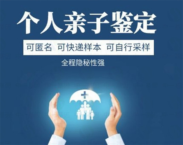 西安亲子鉴定流程解析：从样本采集到鉴定结果的详细步骤