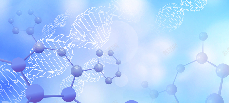 科学准确的DNA亲子鉴定解读：揭开家庭血缘之谜