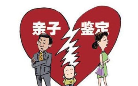 如何进行亲子鉴定，并解释为什么结果可能不准确