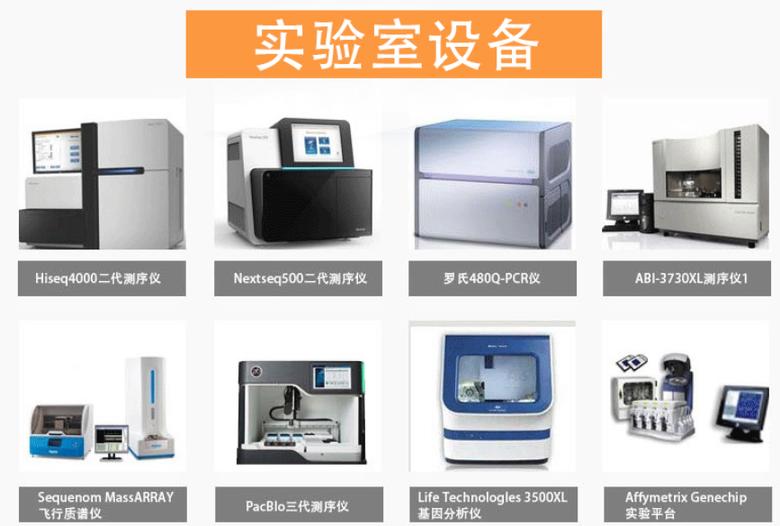 鄂尔多斯市伊金霍洛旗亲子鉴定结果的判定方法是什么？