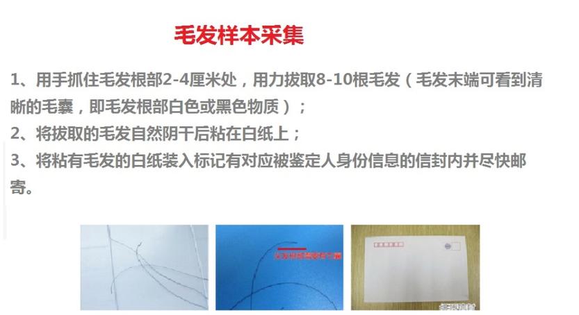 有哪些方法可以进行个人隐私亲子鉴定？希望在1天内能够得出结果，非常急迫