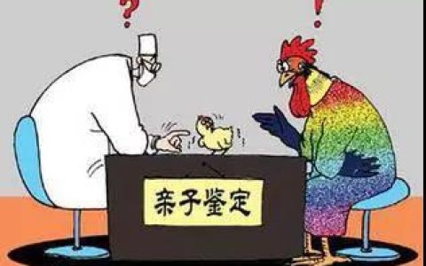 杭州视角：个人亲子鉴定VS司法亲子鉴定，精准度谁更胜一筹？