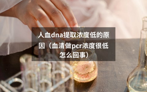 解析人血DNA提取浓度低及血清PCR浓度低的原因