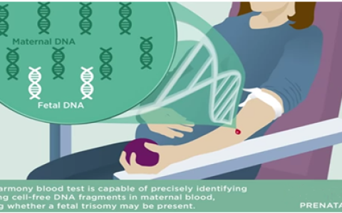 无创亲子鉴定靠谱吗？专家解读其准确性与安全性